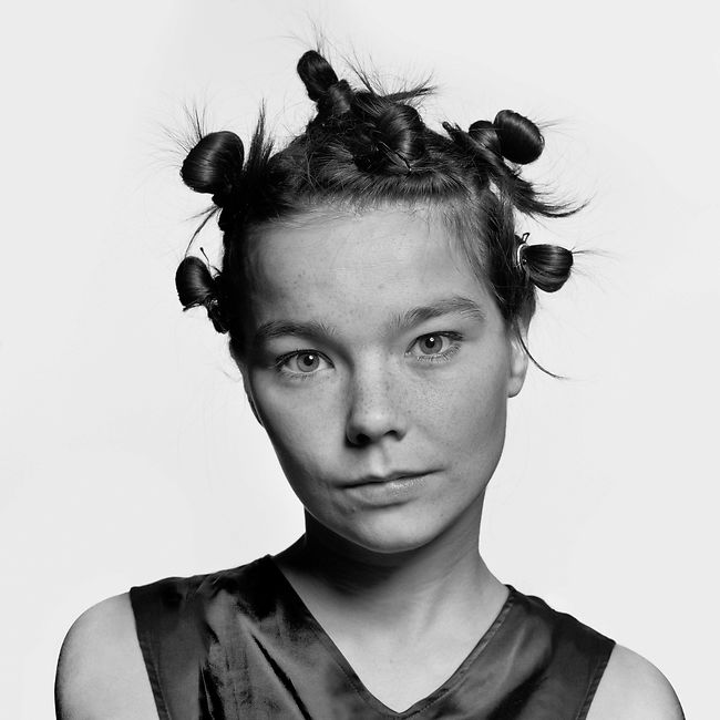 Debut  Björk
