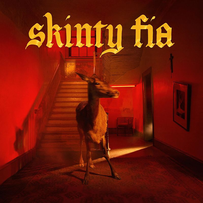 Skinty Fia - Black vinyl