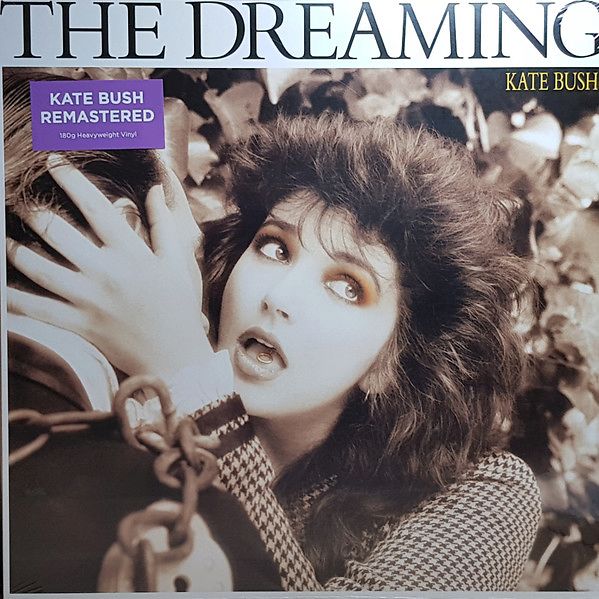 The Dreaming by Kate Bush