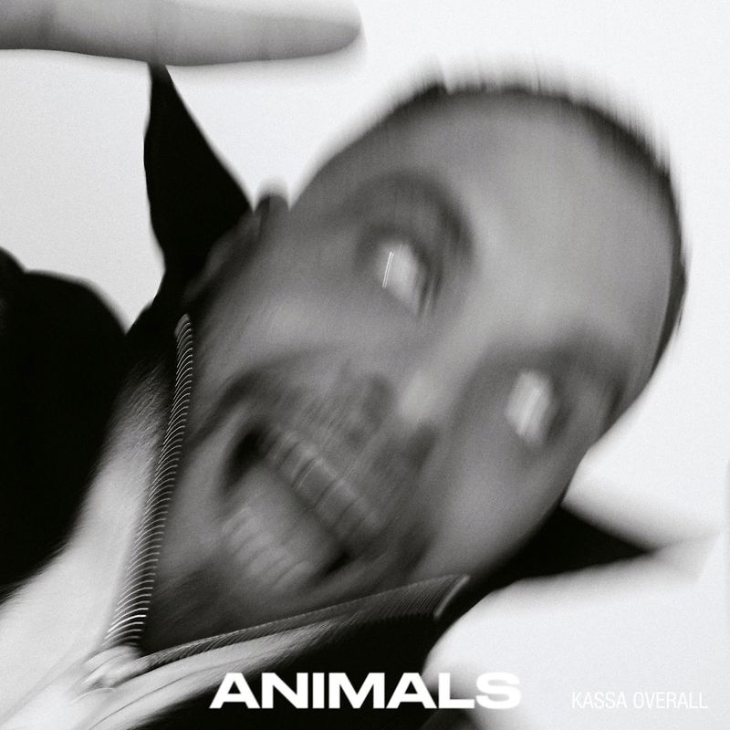 Animals - Clear Vinyl