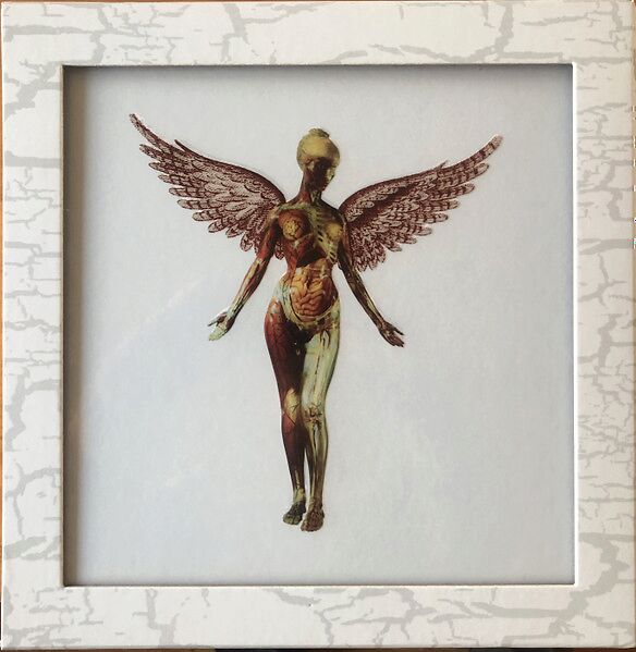 In Utero - 30th Anniversary Super Deluxe Edition