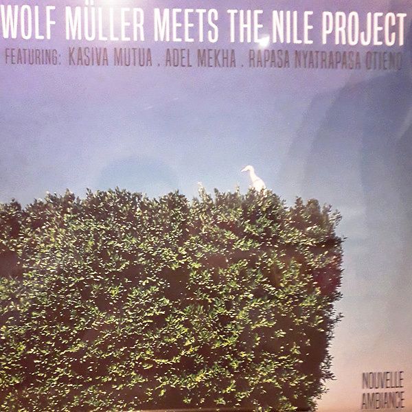 Wolf Müller Meets The Nile Project 