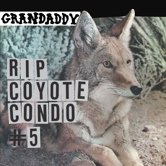 Rip Coyote Condo #5