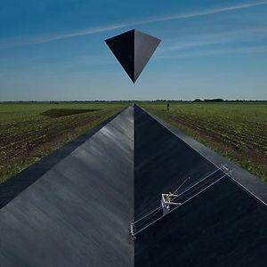Synrise by Goose Synrise by Goose