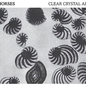 Clear Crystal Air by Horses Clear Crystal Air by Horses