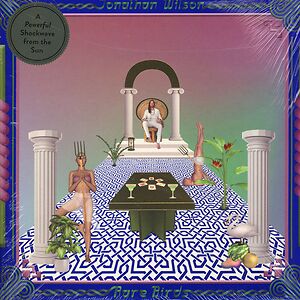 Rare Birds by Jonathan Wilson Rare Birds by Jonathan Wilson