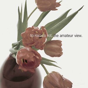 The Amateur View by To Rococo Rot The Amateur View by To Rococo Rot
