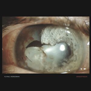 Anaesthesia -Limited Silver Vinyl by Flying Horseman Anaesthesia -Limited Silver Vinyl by Flying Horseman