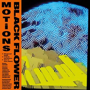 Motions by Black Flower Motions by Black Flower