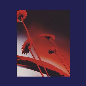Nothing Ever Was: Compiled By DJ Sundae by Various Nothing Ever Was: Compiled By DJ Sundae by Various