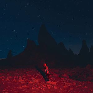 Punisher by Phoebe Bridgers Punisher by Phoebe Bridgers