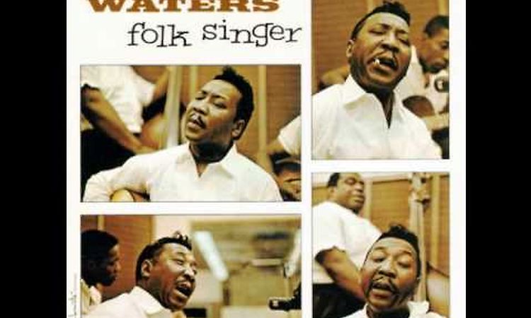 Muddy Waters- You Gonna Need My Help