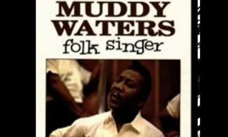 Muddy Waters -  Good Morning Little School Girl