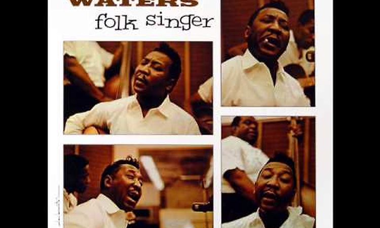 Muddy Waters - Feel Like Going Home [Folk Singer]