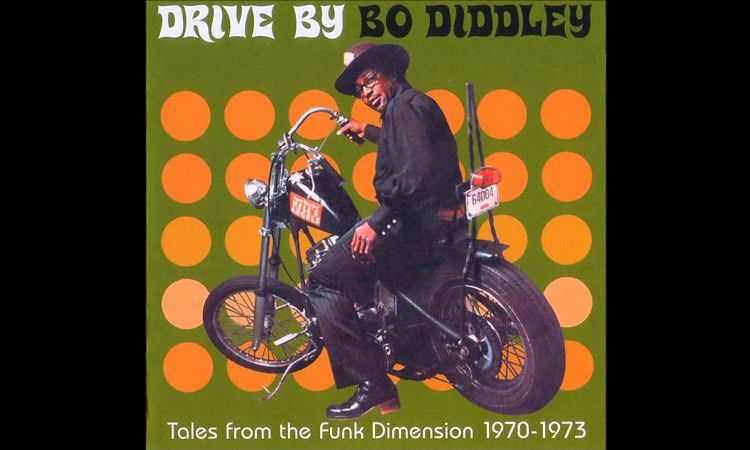 Bo Diddley - The Shape I'm In