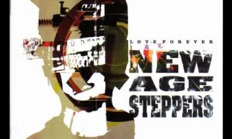 New Age Steppers - Conquer