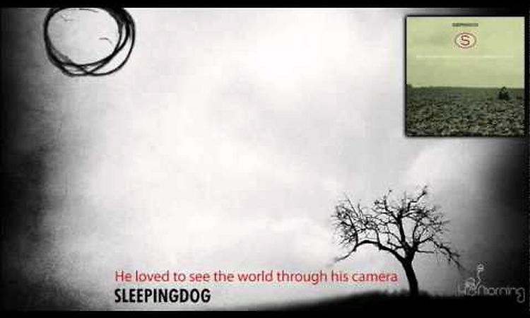 Sleepingdog - He loved to see the world through his camera