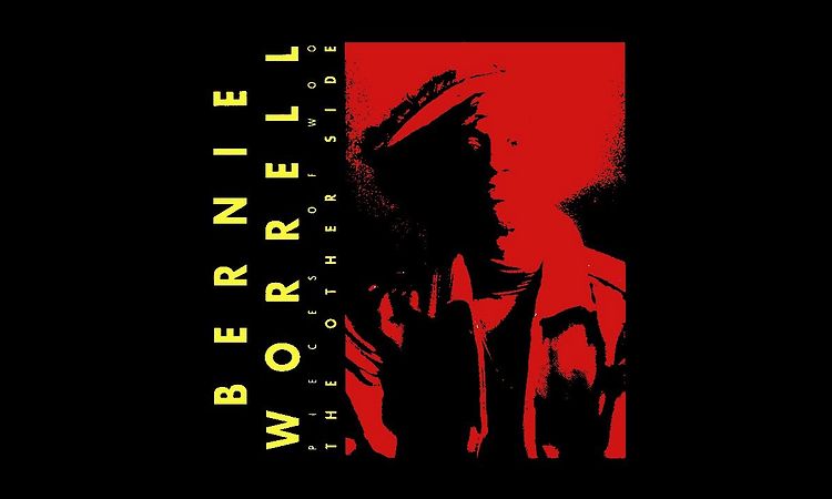 Bernie Worrell - Witness For The Defense