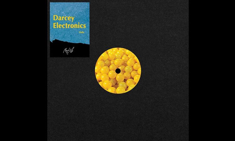 PREMIERE: Darcey Electronics - Handbird [Pleasant Life]