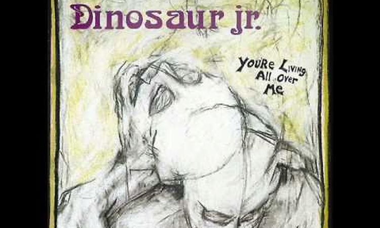 Raisans - Dinosaur Jr.