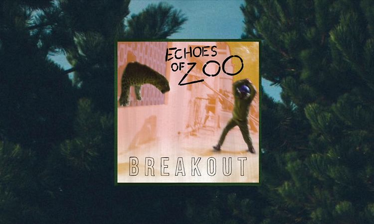 Echoes of Zoo — Dance Around Bullets