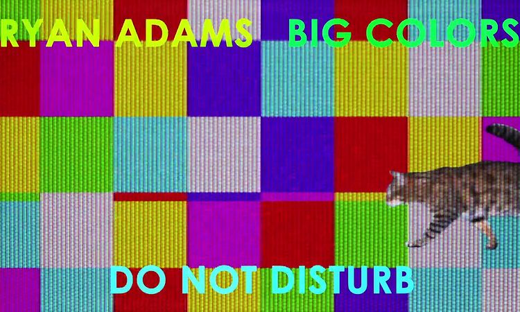 Ryan Adams - Do Not Disturb (Visualizer)