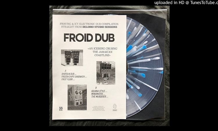 PREMIERE | Froid Dub - Iguana Style [Delodio] 2021