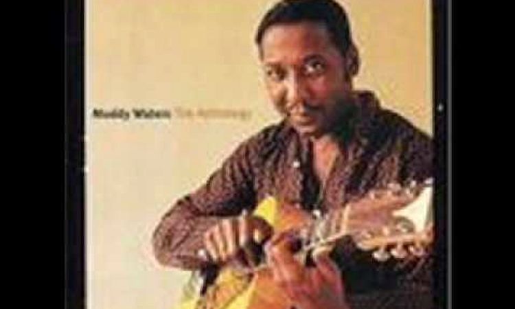 Muddy Waters - Walking Thru the Park