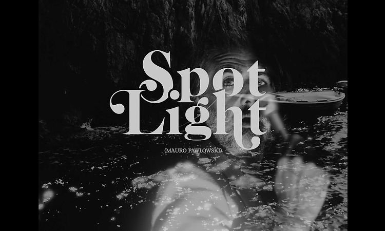 Mauro Pawlowski - Spotlight (Official Video)
