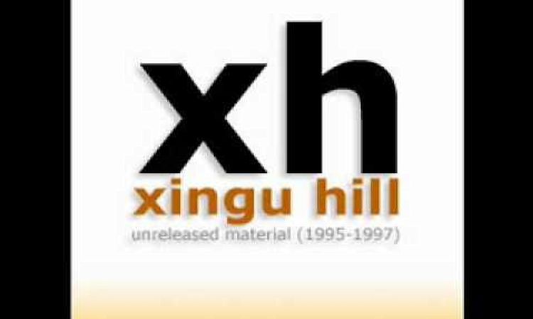 xingu hill - automatic citizens