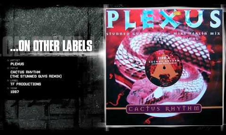 Plexus - Cactus rhythm (The Stunned Guys remix)