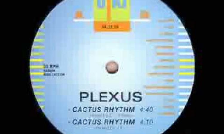 plexus cactus rhythm