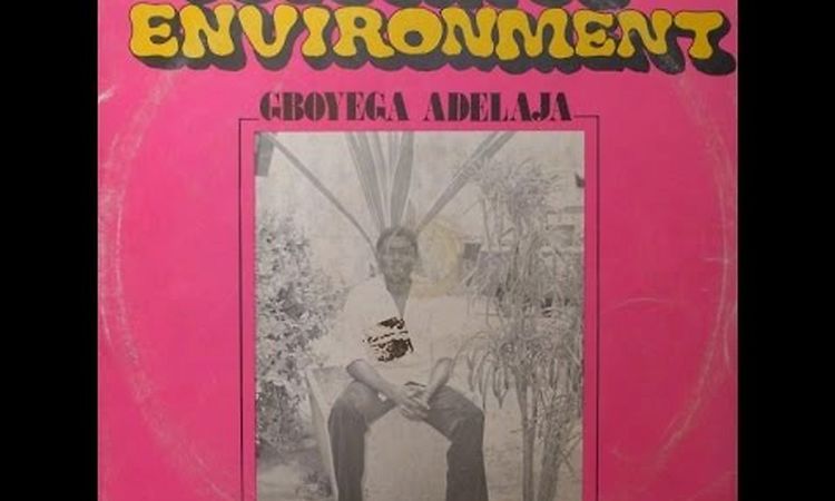 AfroFunk, Gboyega Adelaja ‎- Colourful Environment