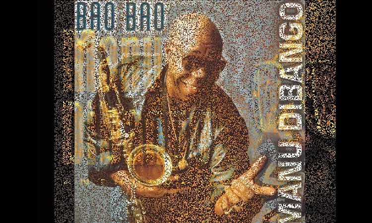 Manu Dibango -  Africadelic