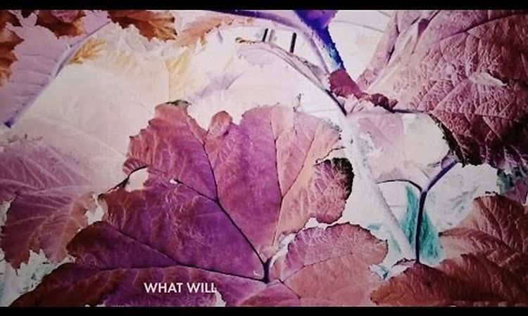 José González - What Will (Lyric Video)