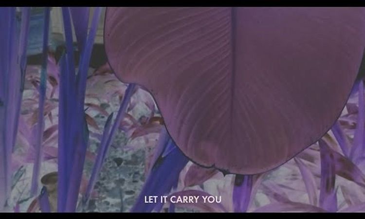 José González - Let It Carry You (Lyric Video)