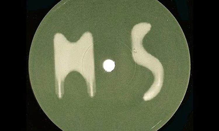 Maurizio - Untitled ( M5 - A1 )