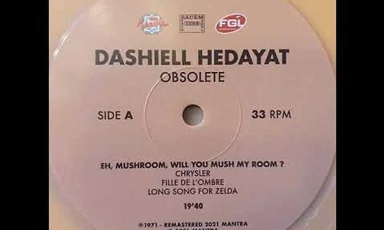 Dashiell Hedayat Long song for Zelda 1971/2021 FGL Productions