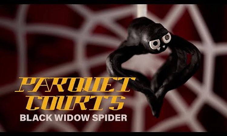 Parquet Courts - Black Widow Spider (Official Music Video)