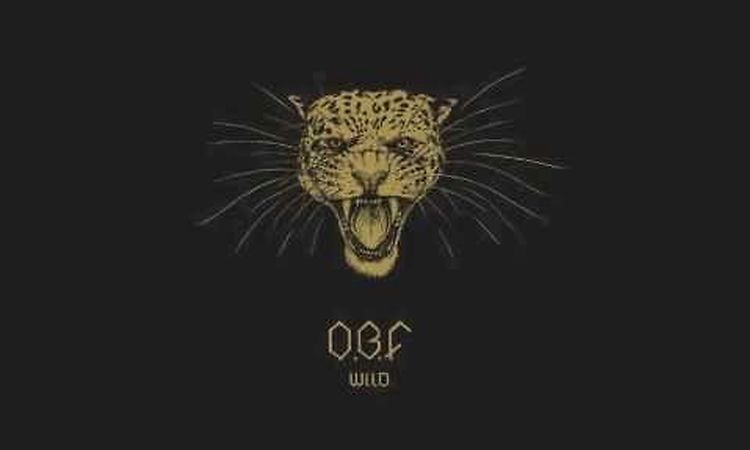 O.B.F feat TROY BERKLEY - BABYLON