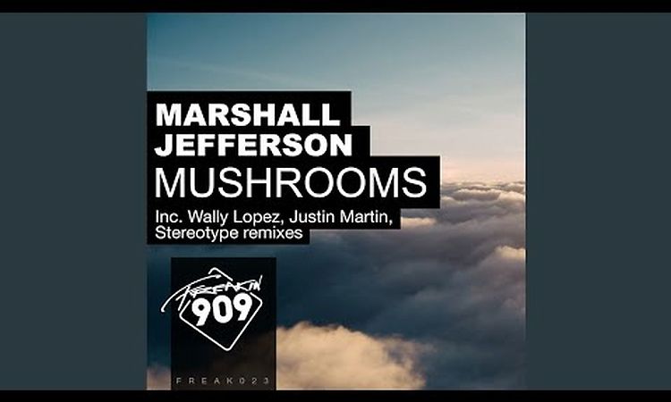 Mushrooms (Wally Lopez Remix)