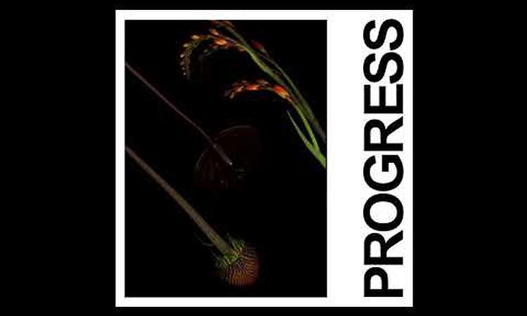 IDLES - PROGRESS (Official Audio)