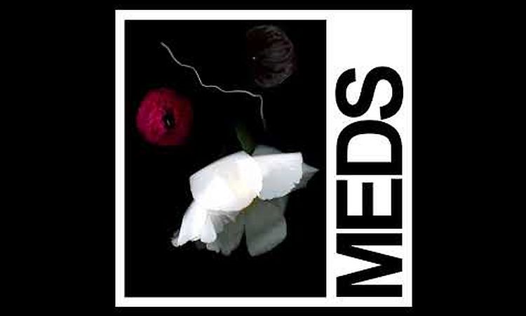 IDLES - MEDS (Official Audio)