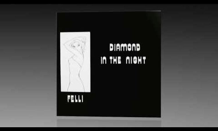 Felli - Diamond In The Night (Vocal)