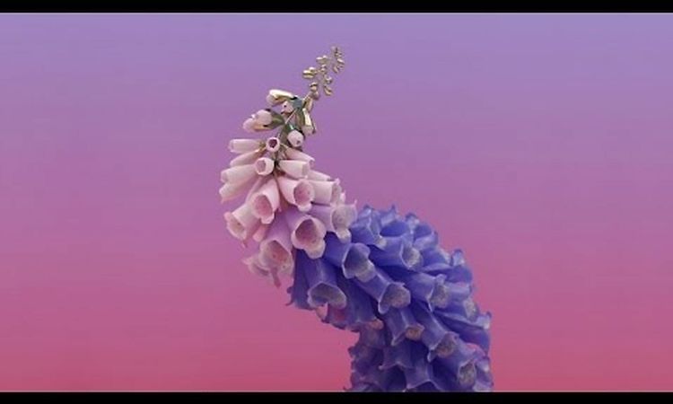 Flume - Wall Fuck