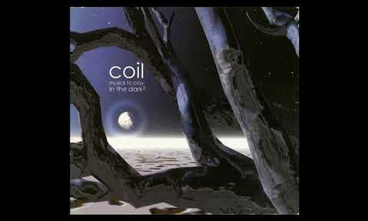 Coil ‎– Something