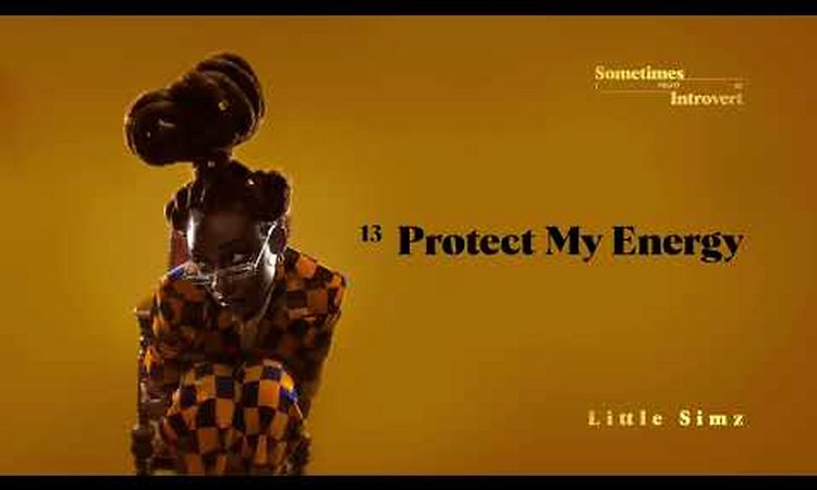 Little Simz - Protect My Energy (Official Audio)
