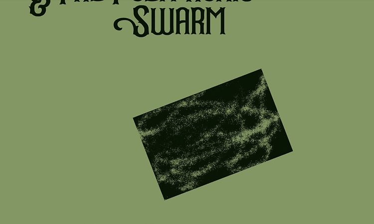 Dali Muru & The Polyphonic Swarm - Danube Dwellers