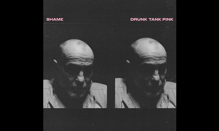 Shame - Drunk Tank Pink (Full Album) 2021