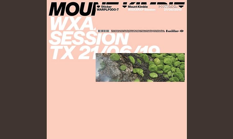 Marilyn (feat. Micachu) (WXAXRXP Session)